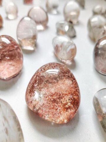 Shop The Inclusion Collection