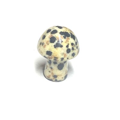 Dalmation Jasper Carved Mushroom