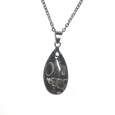 Turritella Snail Fossil Necklace