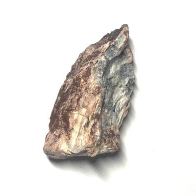 Natural Petrified Wood Chunk