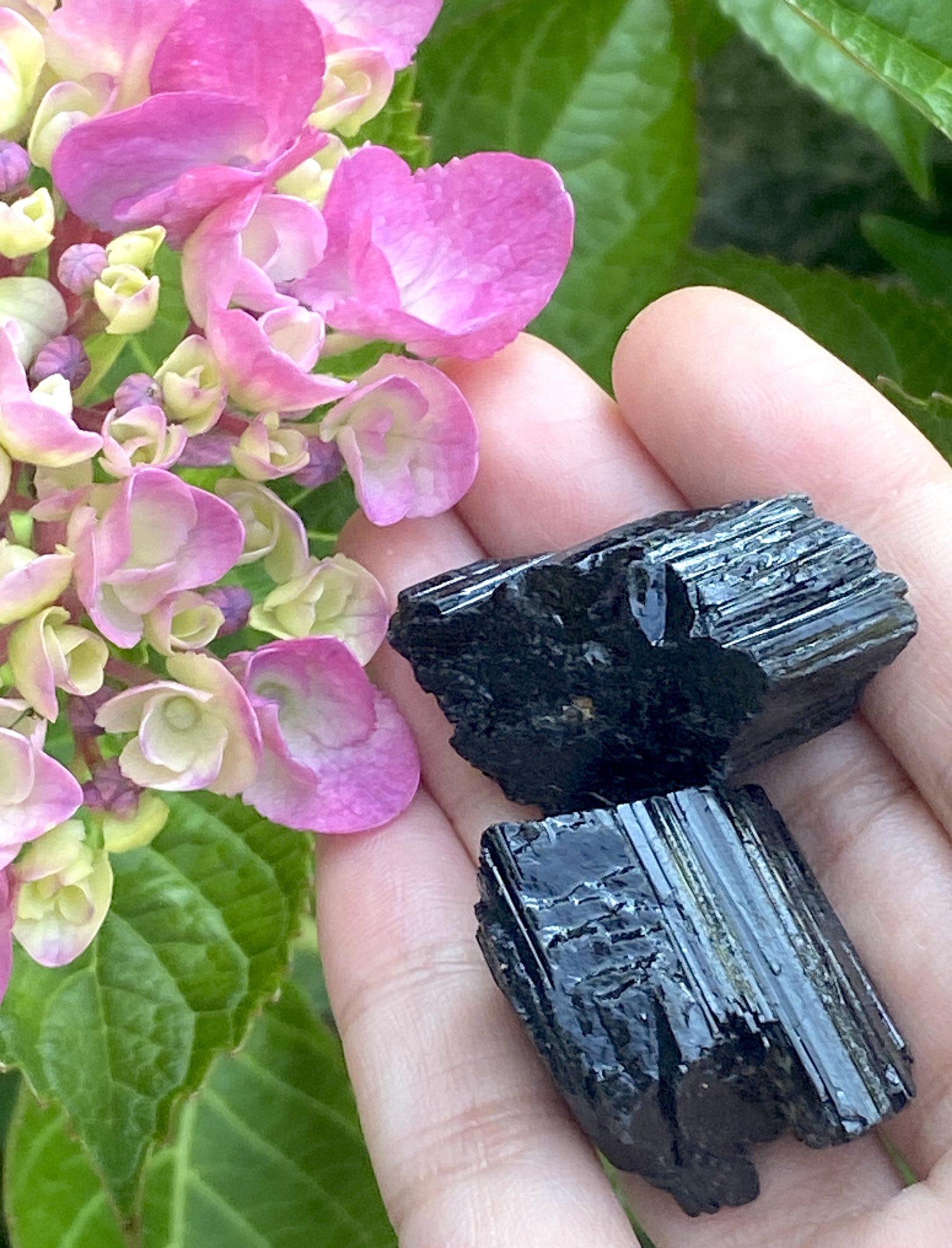 Natural Raw Black Tourmaline Crystals