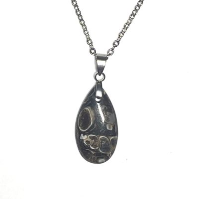 Turritella Snail Fossil Necklace