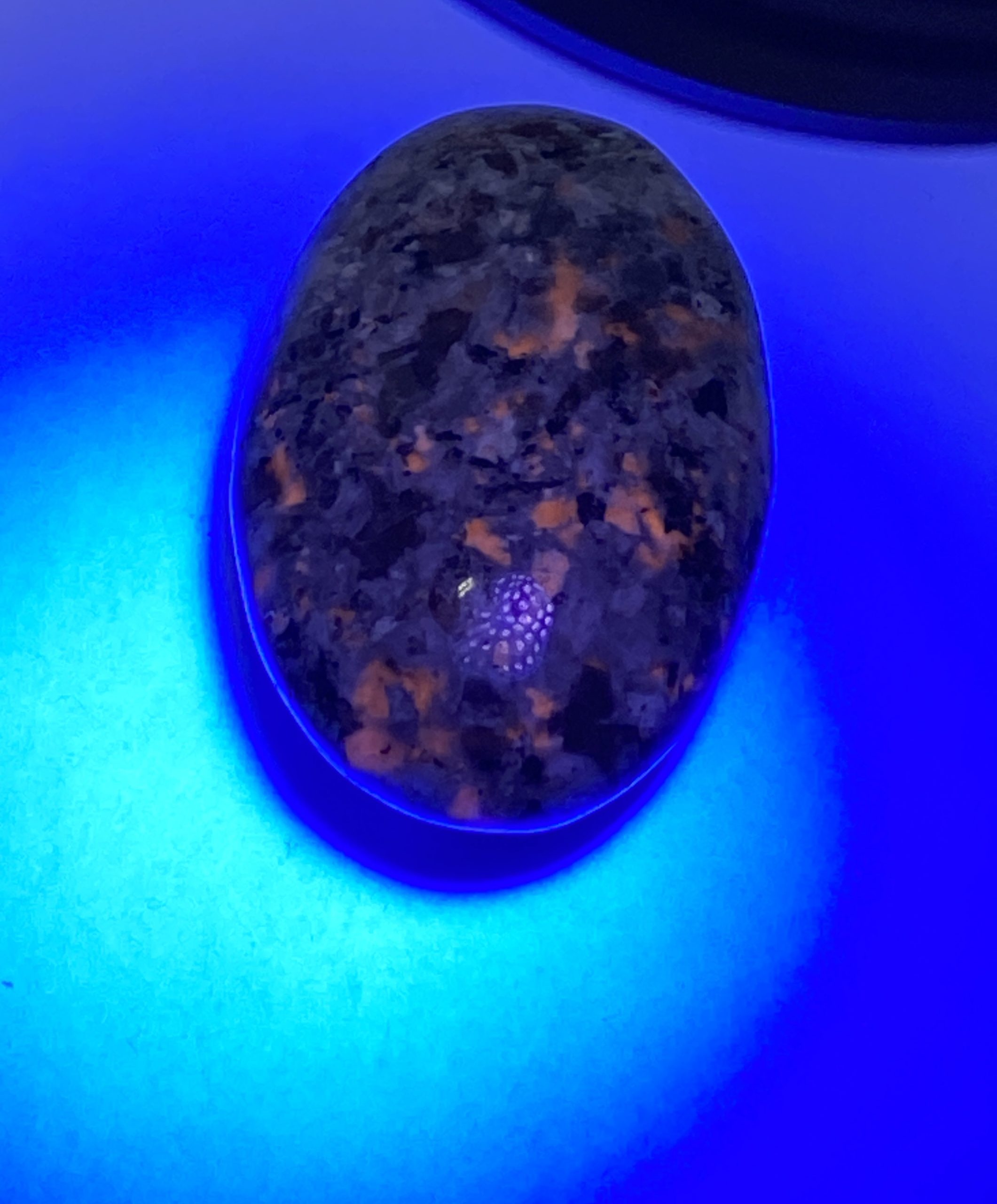 Large Yooperlite Palm Stone UV Reactive