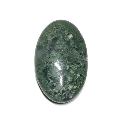 Moss Agate Palm Stone