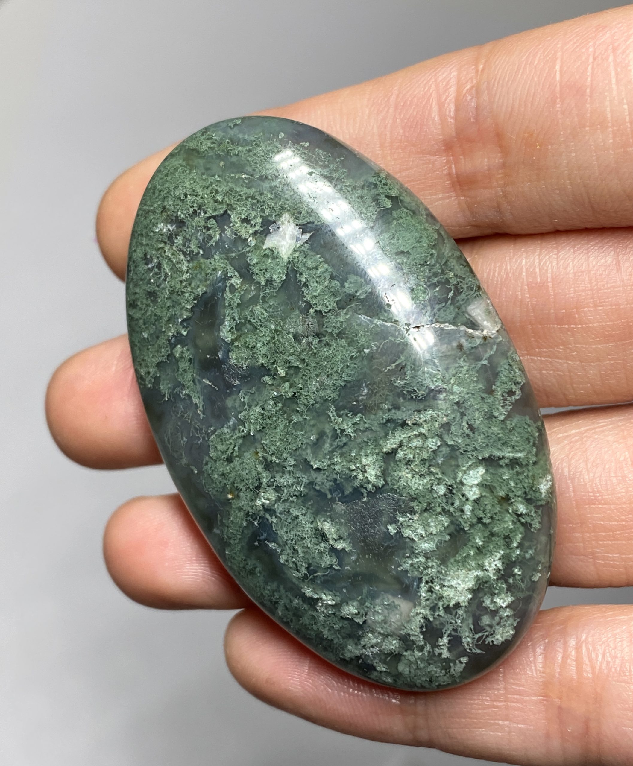 Natural Moss Agate Palm Stone